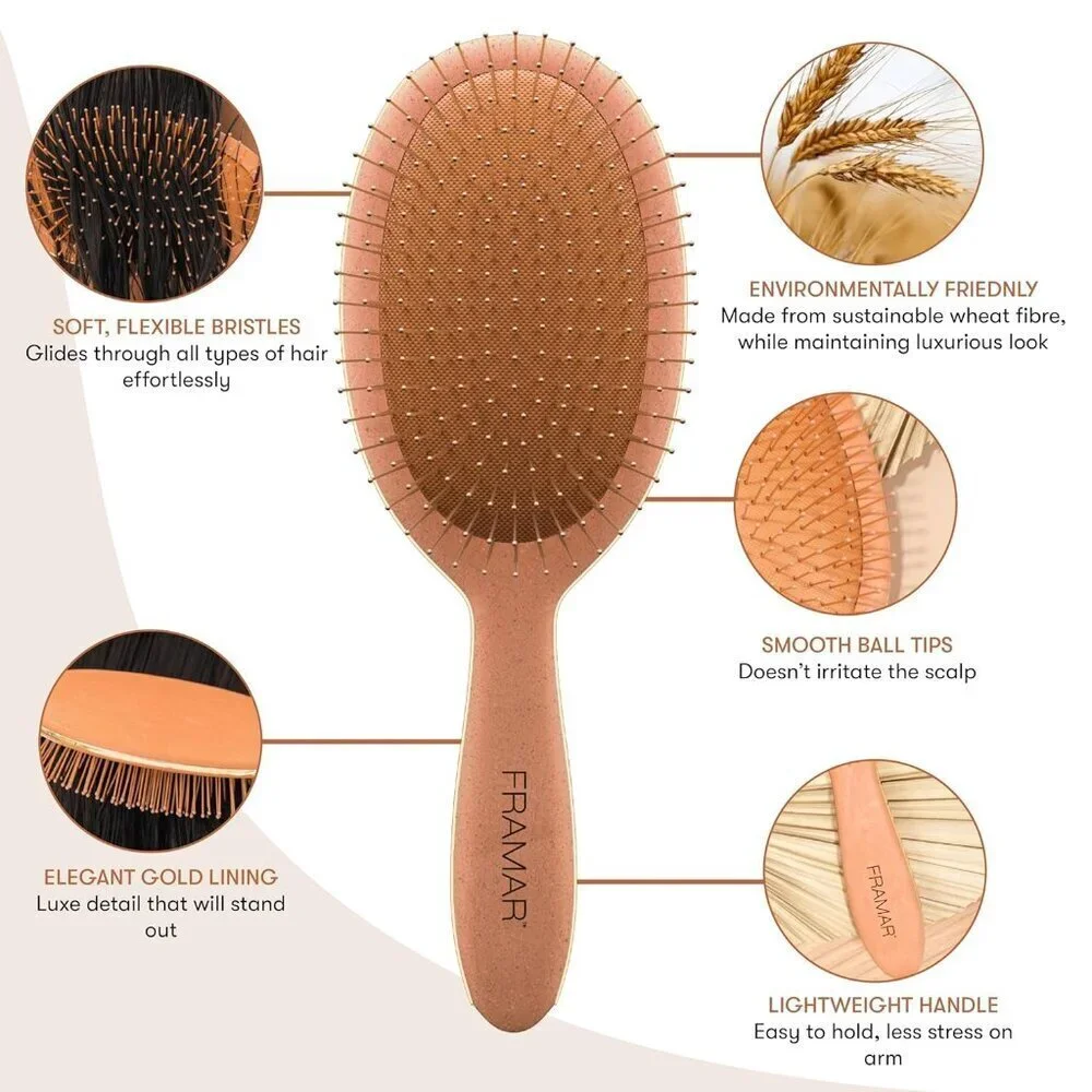Wet Hair Brush Detangler – Wet Hair Brushes For Women - Premium Hair Brush Clean